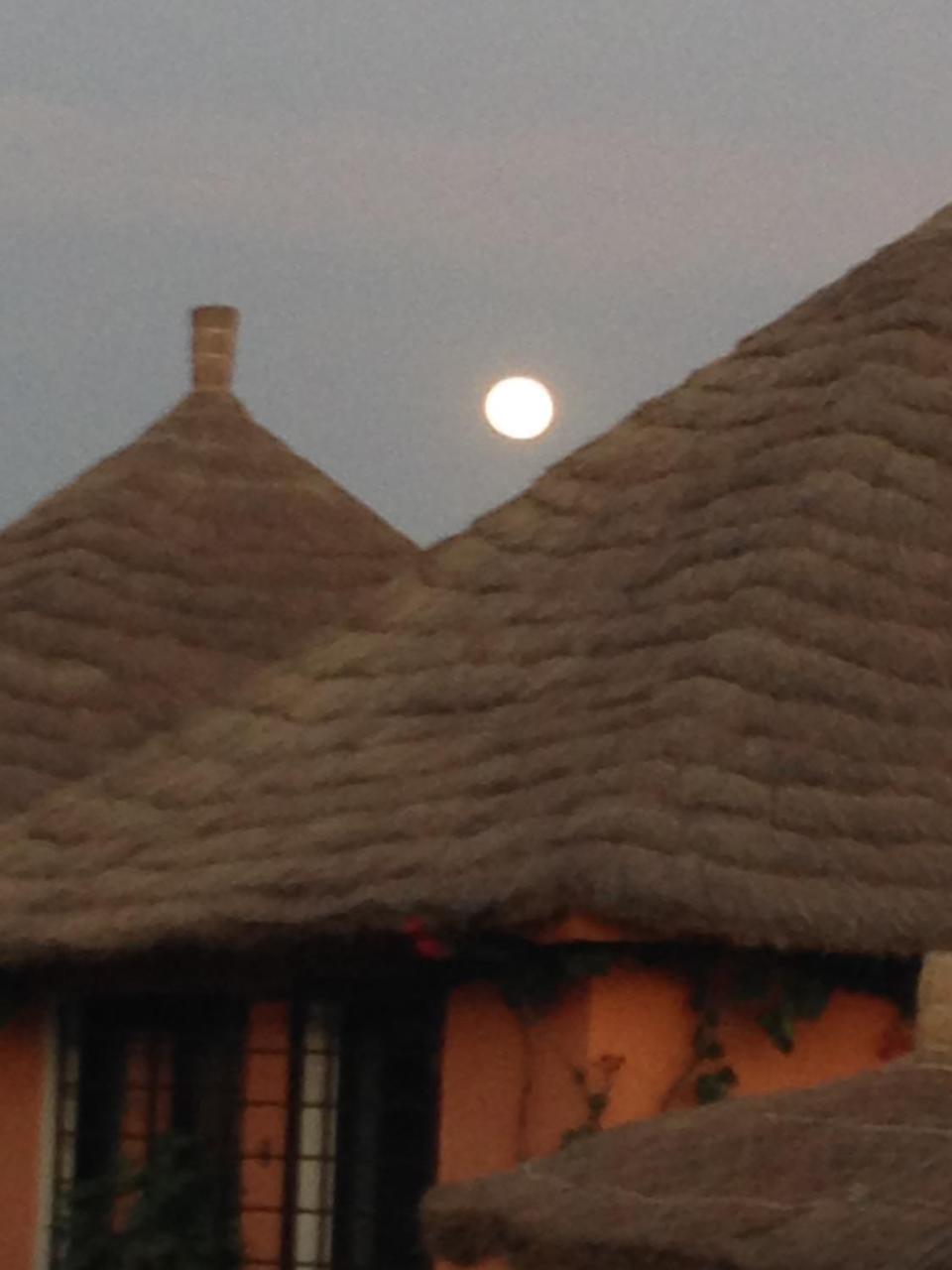 Terra Lodge Senegal อึมบูร์ ภายนอก รูปภาพ