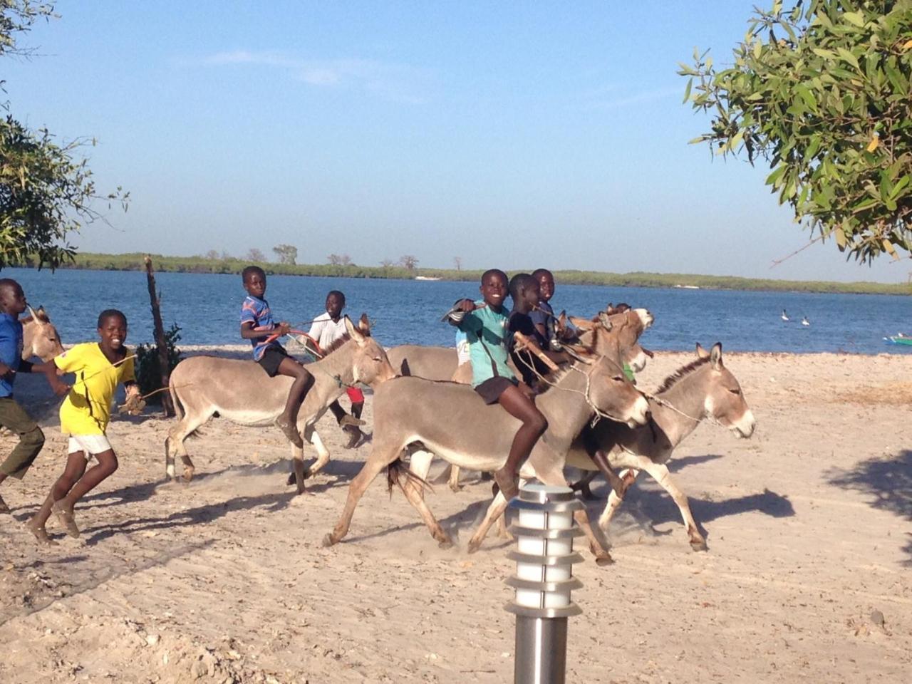 Terra Lodge Senegal อึมบูร์ ภายนอก รูปภาพ