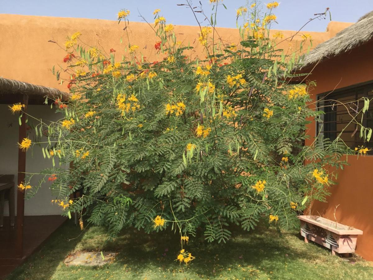 Terra Lodge Senegal อึมบูร์ ภายนอก รูปภาพ